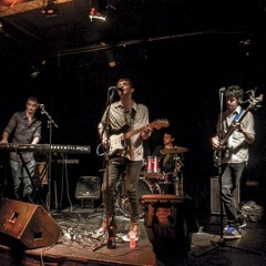 La casa de las avispas