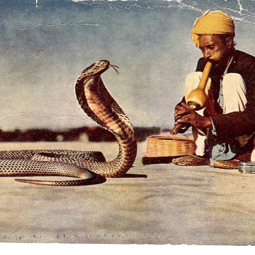 Serpent Strike (Instrumental) [ SOLD ]