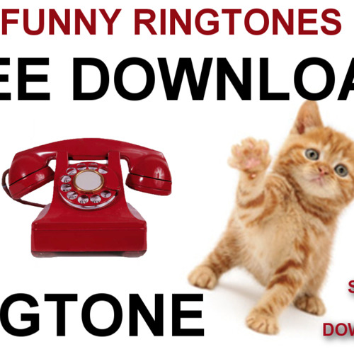 Stream Cat Meow FREE Ringtone by allcastcoUK Listen online for free