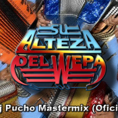 VAMOS A GOZAR WEPA 2014 - DJ PUCHO MASTERMIX