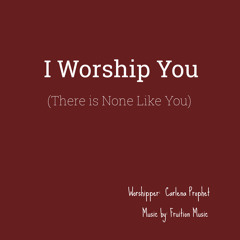 I Worship You (There Is None Like You)