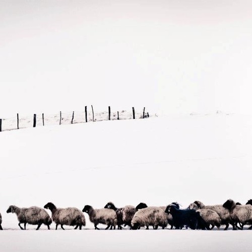 Şehram Nazirî - Sebri  شهرام ناظرى