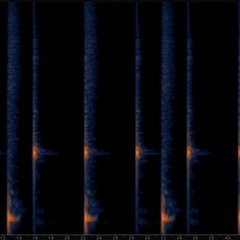 Brainware Experiment [WIP]