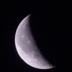 IRME SOLO NEW VERSION