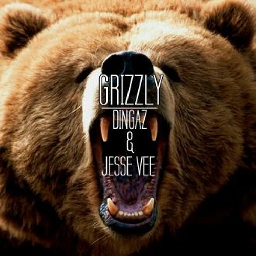 Dingaz & Jesse Vee - Grizzly (Original Mix) DL IN DESCRIPTION