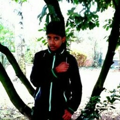 Moku sarakku Gobi V-pac at Gobi V-PAC