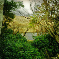 My Shazam Tracks - 2