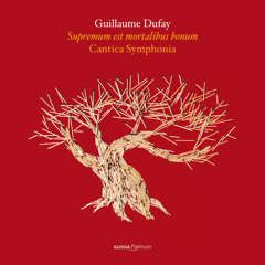 Guillaume Dufay / Ave Regina Celorum