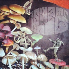 Colour Me Paisley (single)