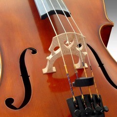 Mrs. Laura Melnicoff. Rostover Nigun. Cello. April 6, 2014