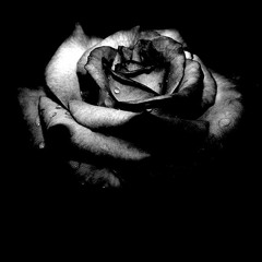 Royaume Mélancolique - Black Rose [ 432 Hz ]