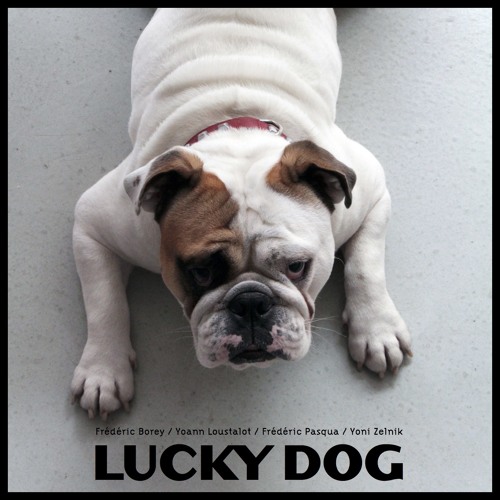 Lucky Dog (extraits)