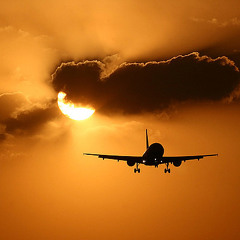 Speed To The Tropics ©