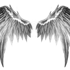 최초의 비메탈감성곡 (가제 : 푸른 날개)