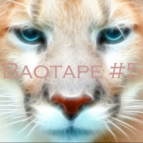 Boatape #5