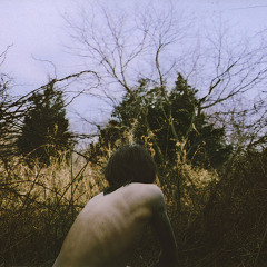 )schizophrenic desire(