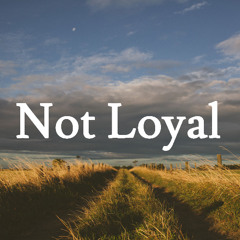 Not Loyal