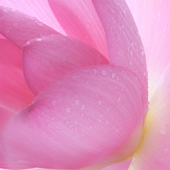 Om Mani Pad Me Hum - Hòa tấu