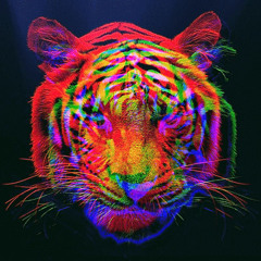 Electric Vibes