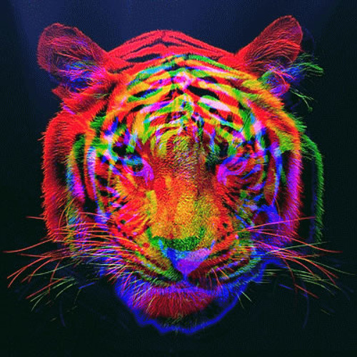 Electric Vibes