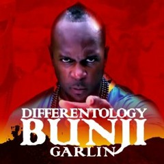 DIFFERENTOLOGY (READY FOR THE ROAD)(DJ RPG REMIX) - BUNJI GARLIN