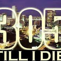 305 music