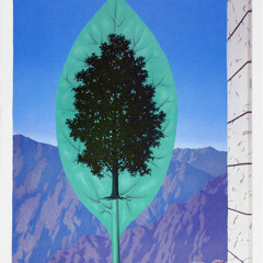 Miradas - Mora Garcia Medici