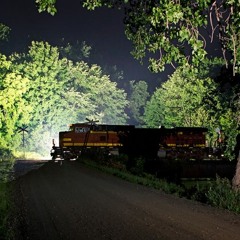 Train Horn in the Spring Night
