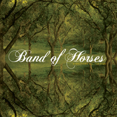 The Funeral - Band of Horses (The Process remix)