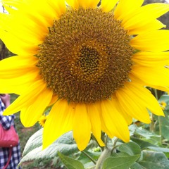 Happy Birthday To My Friend!