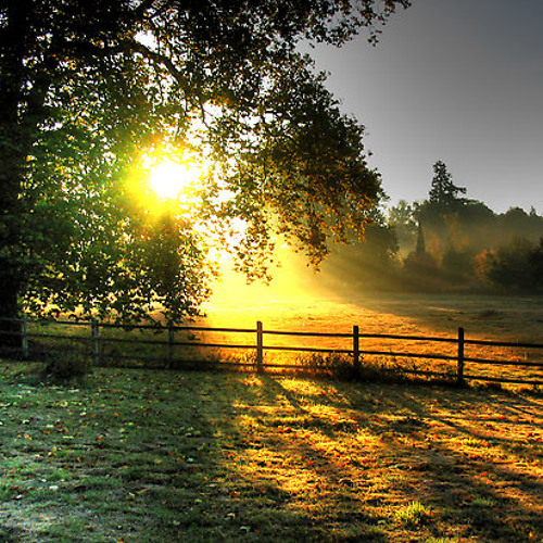 [Official] Back In Time (piano cover) Lyn