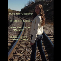 Megan Loehr - Can't Say Goodbye