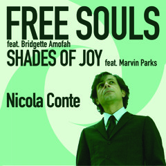 Nicola Conte - Shades Of Joy