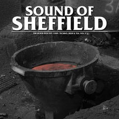 [dustv040] The Black Dog - Sound Of Sheffield Vol. 02