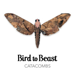 Bird to Beast - Catacombs (single version)