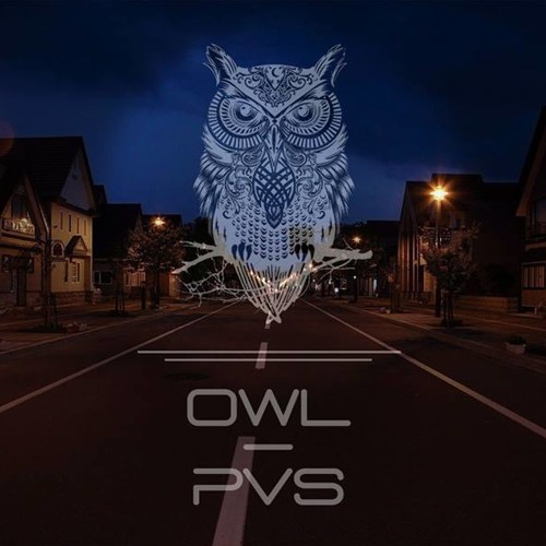 Pompei VS - Owl (Original Mix)