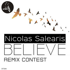 Nicolas Salearis - Believe ( Melodi7 Remix )