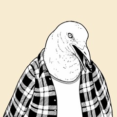 Predatory Bird - Full Moon Rampage