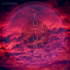 Future Junk