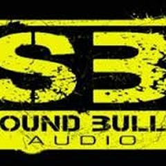 IM A WHAT ( FORTHCOMING SOUND BULLY AUDIO)