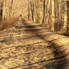 In This Moment 11.13