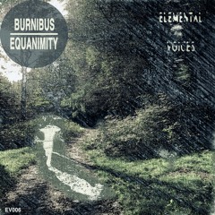 EV006 - 01. Burnibus - If You Say So - Preview