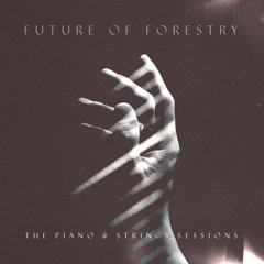 Future Of Forestry - Traveler's Song (Piano & Strings Sessions Version)