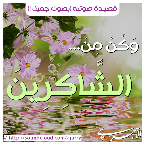 وكن من الشاكرين