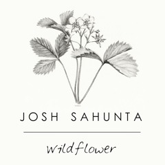 "Wildflower"- Josh Sahunta