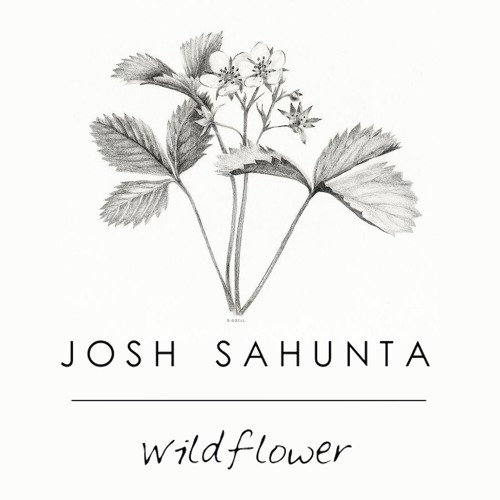 "Wildflower"- Josh Sahunta