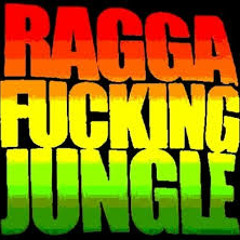 Reggae Drum and Bass mix jungle vol 2