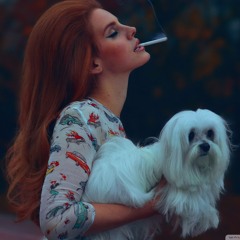 Lana del Slay coachella fantasy playlist