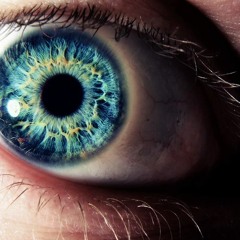 Maverick Deep Zofo IIX - The Willow Three