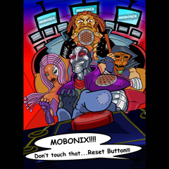2. Reset Button (Radio)